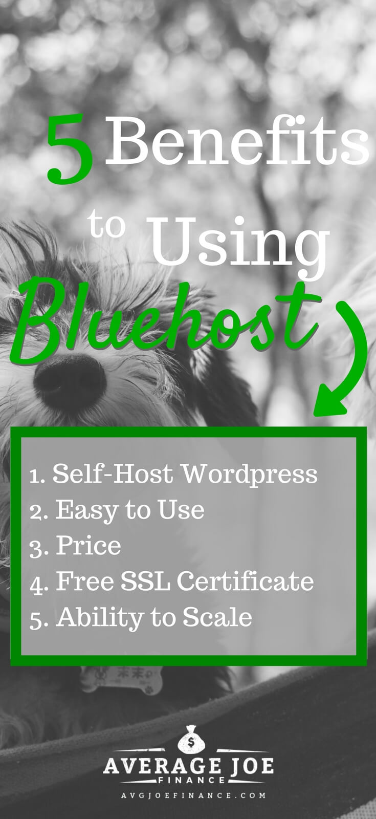 5 reasons to choose bluehost as your hosting provider